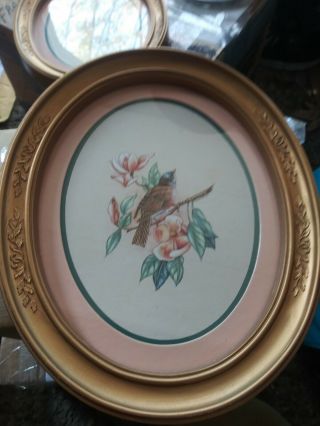 Vintage Oval Prince Of A Wren Bird
