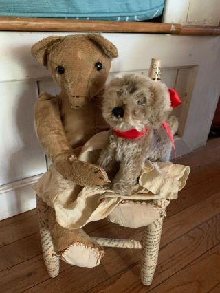 Antique Teddy Bear Very Well Loved And Her Lil Steiff Raudi Dog
