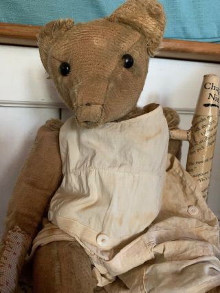 Antique Teddy Bear Very Well Loved And Her Lil Steiff Raudi Dog 3
