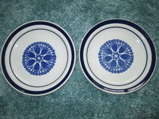 Rare Blue Monterrey Stoneware Set Of 2 10 3/8” Dinner Plates.