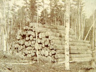 Antique Vtg 1898 Camp 51 Logging Lumberjack Occupational Cabinet Card Photograph
