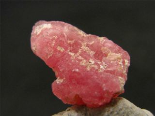 Extremely Rare Gem Vayrynenite Crystal From Pakistan - 2.  90 Carats