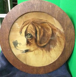 Antique Oil On Velvet Painting St Bernard Dog Portrait Oval Frame 15 " Dia.