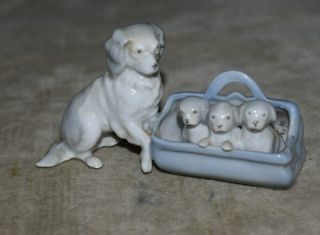 Rare Vintage German Porcelain Figurine – Dog With Her Puppies In Suitcase
