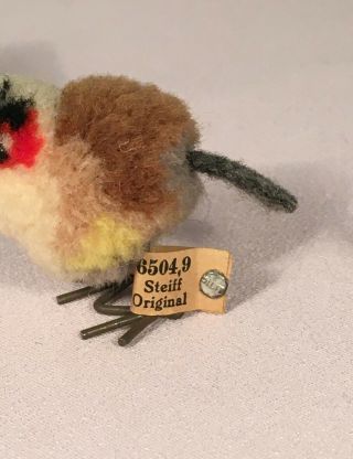 RARE 1930 ' s Steiff Woolen Finch Bird ALL ID ' s 2