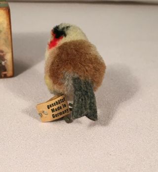 RARE 1930 ' s Steiff Woolen Finch Bird ALL ID ' s 3