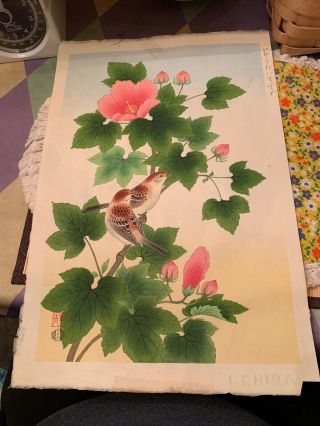 Shizuo Ashikaga Vintage Signed Wood Block Print Sparrow Hibiscus Japan