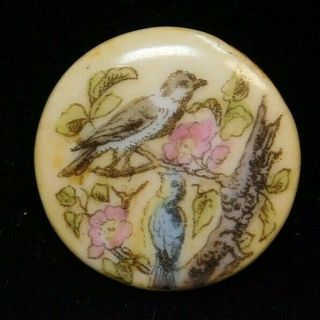 Antique Vtg Button Transfer Print Of 2 Birds On Ceramic Enchanting A15