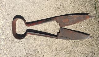 Vintage Antique Hand Tool Farm 12” Sheep Shears Cutters Scissors Steel Metal