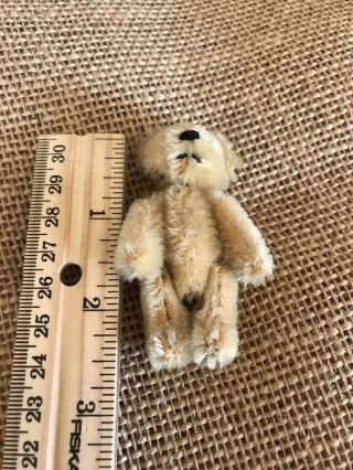 Rare Antique Miniature Schuco Mohair Teddy Bear 2 1/2 " Tall 5 Way - Jointed