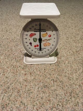 Vintage American Family Scale 25 Lb Kitchen Counter Metal Food Scale White