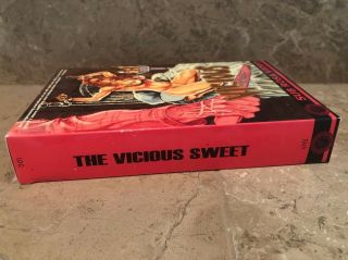 THE VICIOUS SWEET VHS Big Box SOV Horror Gore Sleaze Sub Rosa SRS Rare Video 3