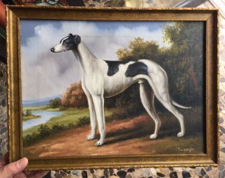 Vintage Oil Painting Italian Greyhound Whippet Dog Signed By Artist Framed Rare