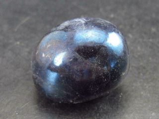 Rare Covellite Covelite Tumbled Piece From Peru - 1.  1 " - 32.  9 Grams