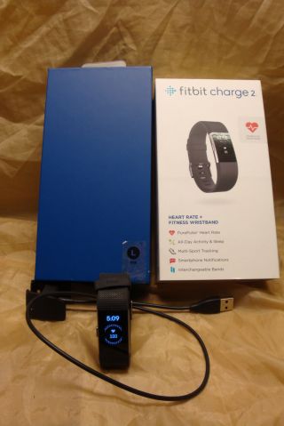 Rarely Fitbit Charge 2 Heart Rate Monitor,  Large - Black (fb407sbkl)