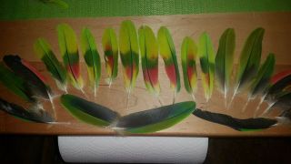 Double Yellow Amazon Tail Feathers 20 Feather Set Natural Rare Crafts Green Red