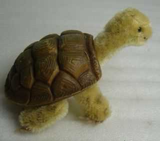 Lovely Vintage Steiff Mohair Turtle Slo With Button