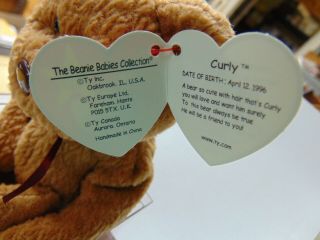 TY BEANIE BABY CURLY RARE 1993 1996 Black eyes / brown nose PLASTIC HOLDER 2