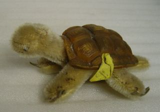 Lovely Vintage Steiff Mohair Turtle Slo With Button And All Tags
