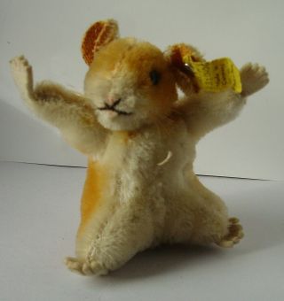 Lovely Vintage Steiff Mohair Hamster Goldy With Button And Tag