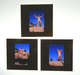 Vintage Male Nude,  3 Color Slides,  Western Photography Guild,  Wpg