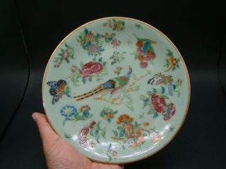 Chinese 19th Century Famille Rose Plate (daoguang Mark And Period) V4419