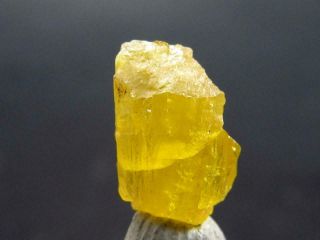 Rare Legrandite Crystal From Mexico - 0.  9cm - 1.  80 Carats