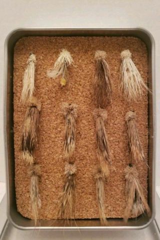 (c18) Vintage Antique Fishing Flies Real Feathers & Furs Hand Tied Look