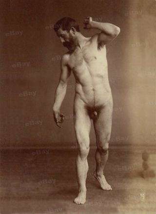 Lp Large 13x18 Cm Old Vintage Male Gay Model 1870 - 1880s 5685