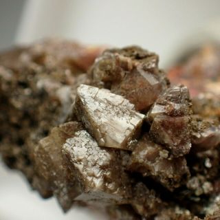 Scheelite Fine Crystals On Quartz From Rare Locality Zinnwald,  Germany