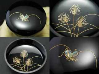 Japan Lacquer Wooden Tea Caddy Bell Cricket Makie Chu - Natsume Mother - Of Pearl N5
