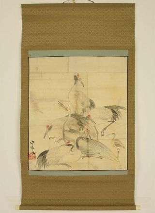 掛軸1967 Japanese Hanging Scroll : Matsumura Keibun " Seven Cranes " @n571