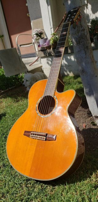 Salvador Ibanez Aeg10ne - Tng - 14 - 02 Classical Cutaway Guitar Rarely