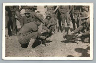 Cock Fighting Us Soldiers Rppc Mexican Border War? Antique Wwi - Era Photo 1910s