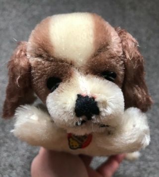 Rare Vintage Small Steiff Sleepy Floppy Cockie Dog W/id Precious Face Nr