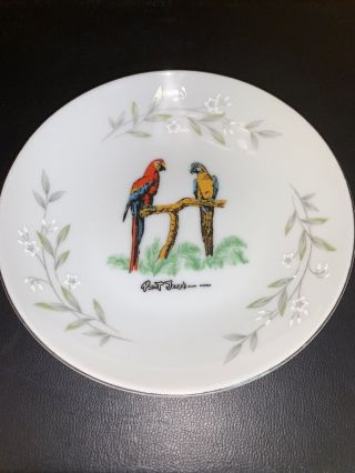 Parrot Jungle Miami Florida 1950s Rare Small Hand Painted Bowl Jimmy Buffet