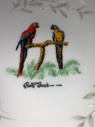 Parrot Jungle Miami Florida 1950s RARE SMALL HAND PAINTED BOWL JIMMY BUFFET 2