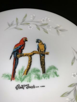 Parrot Jungle Miami Florida 1950s RARE SMALL HAND PAINTED BOWL JIMMY BUFFET 3