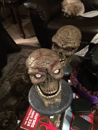 Rotten Heads Halloween Prop Spirit Halloween Rare