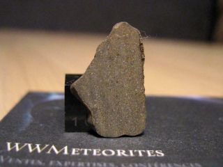 Meteorite NWA 11085 - Rare very primitive carbonaceous chondrite : CO3.  0 2