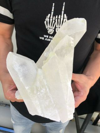 8.  5LB Rare Natural Clear Quartz Crystal Cluster Specimen HYD618 3