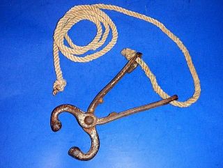 Vintage Or Antique Bull Nose Lead With Lead Rope