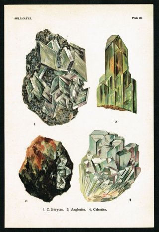 1911 Sulphates: Barytes,  Anglesite,  Celestite,  Geology,  Rocks,  Antique Print