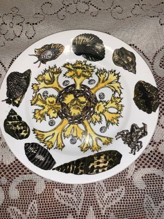 Vintage Piero Fornasetti Porcelain 10 " Plate Conchiglie Pattern Rare Signed