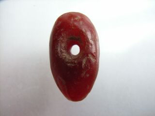 1 Ancient Neolithic Carnelian Amulet,  Stone Age,  Rare Top
