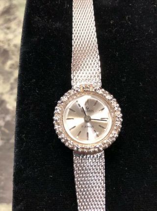 Vintage Helbros 17 Jewels Wind Up Ladies Wristwatch Watch Champion Strap