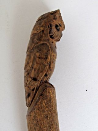 Antique Hand Carved Wooden Owl With Brass Eyes Letter Opener