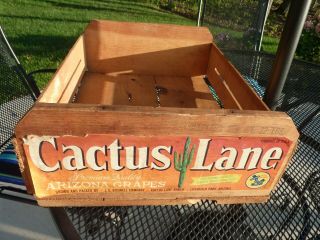 Vintage Arizona Cactus Lane Arizona Grapes Crate Litchfield Park J.  C.  Boswell Co