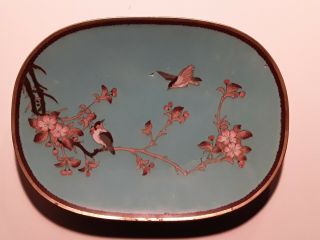 Unusual Antique Japanese Gold Wire Cloisonne Plate Tray With Cherry Blossom
