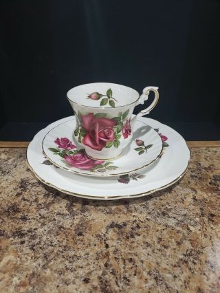 3pc.  Regency English Bone China Tea Cup Saucer And Desert Plate Roses Gold Trim